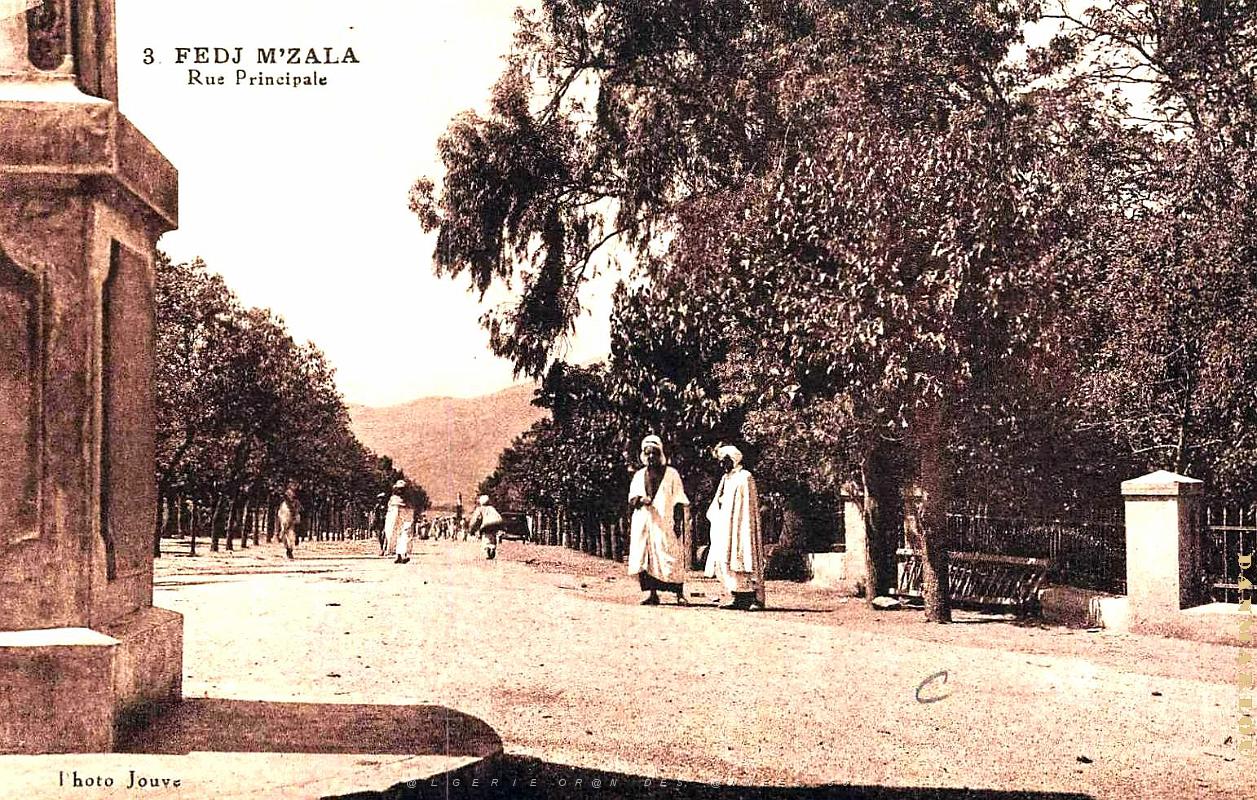 Fedj-M'Zala - Rue Principale.jpg
